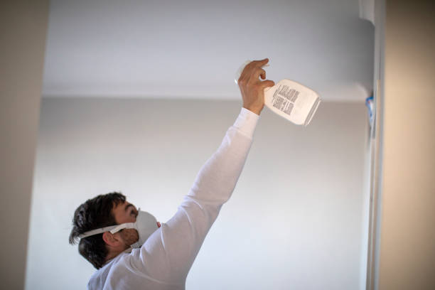 Best Mold Removal and Inspection  in Emmetsburg, IA