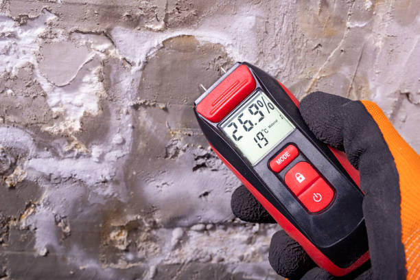 Best Office Mold Removal Services  in Emmetsburg, IA