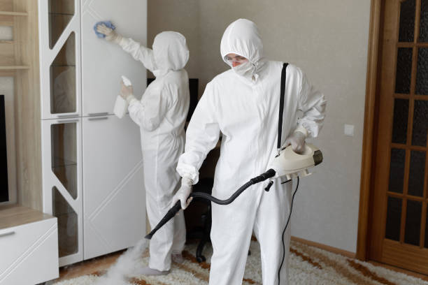 Best Commercial Mold Removal  in Emmetsburg, IA